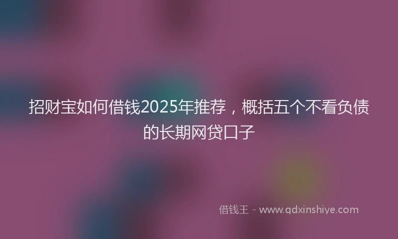 招财宝如何借钱2025年推荐，概括五个不看负债的长期网贷口子