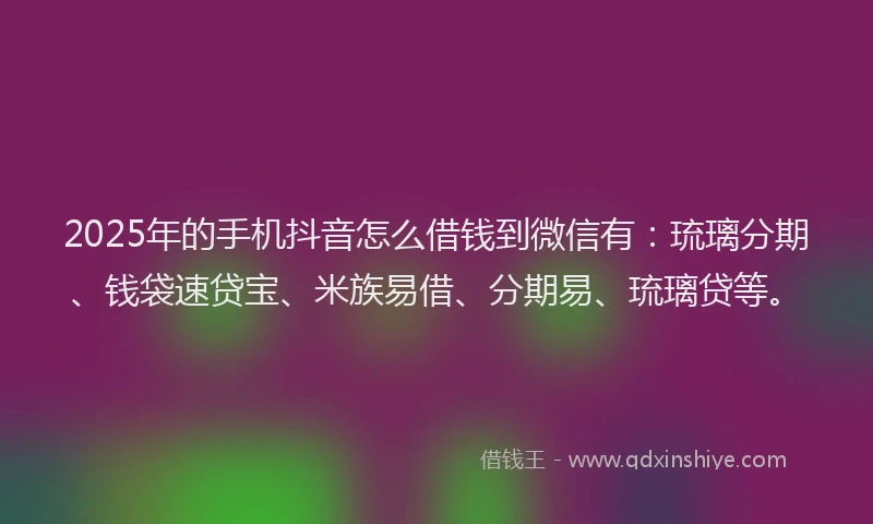 2025年的手机抖音怎么借钱到微信有：琉璃分期、钱袋速贷宝、米族易借、分期易、琉璃贷等。