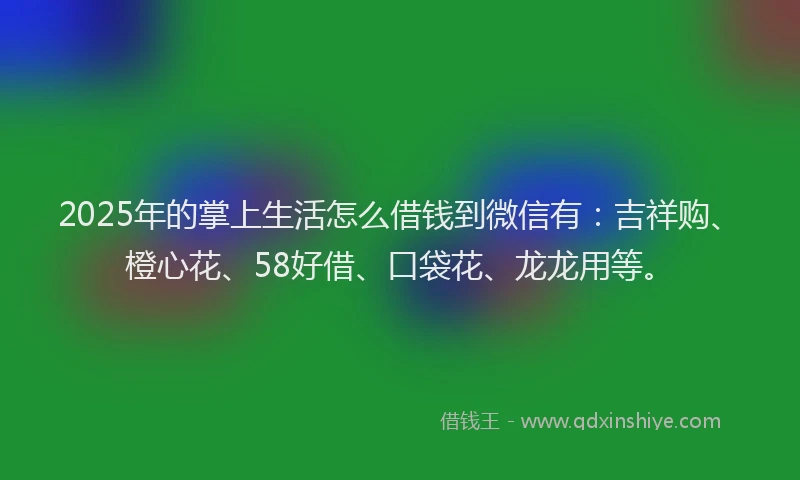 2025年的掌上生活怎么借钱到微信有：吉祥购、橙心花、58好借、口袋花、龙龙用等。