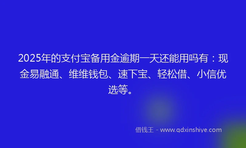2025年的支付宝备用金逾期一天还能用吗有：现金易融通、维维钱包、速下宝、轻松借、小信优选等。