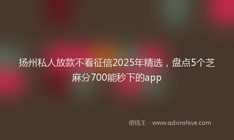 扬州私人放款不看征信2025年精选，盘点5个芝麻分700能秒下的app