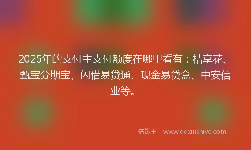 2025年的支付主支付额度在哪里看有：桔享花、甄宝分期宝、闪借易贷通、现金易贷盒、中安信业等。