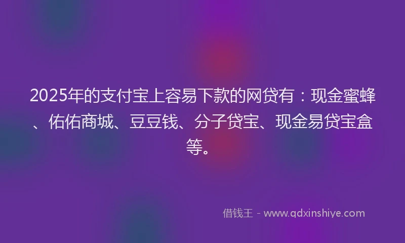 2025年的支付宝上容易下款的网贷有：现金蜜蜂、佑佑商城、豆豆钱、分子贷宝、现金易贷宝盒等。