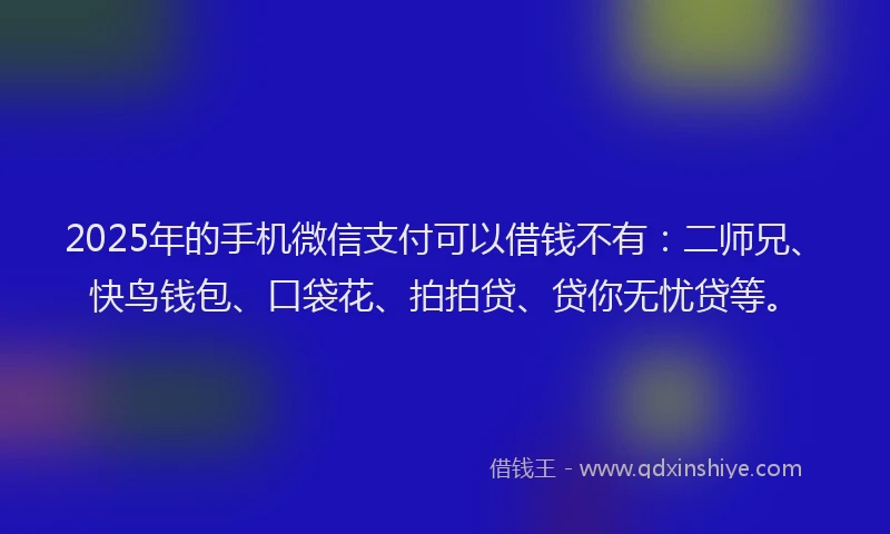 2025年的手机微信支付可以借钱不有：二师兄、快鸟钱包、口袋花、拍拍贷、贷你无忧贷等。