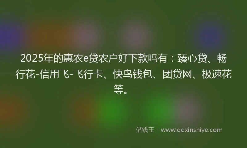 2025年的惠农e贷农户好下款吗有：臻心贷、畅行花-信用飞-飞行卡、快鸟钱包、团贷网、极速花等。