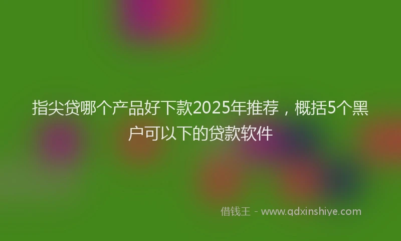 指尖贷哪个产品好下款2025年推荐，概括5个黑户可以下的贷款软件