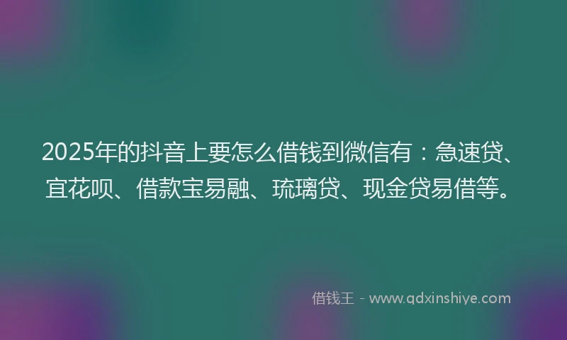 2025年的抖音上要怎么借钱到微信有：急速贷、宜花呗、借款宝易融、琉璃贷、现金贷易借等。