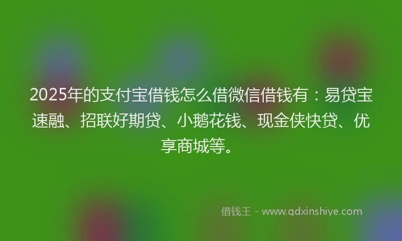 2025年的支付宝借钱怎么借微信借钱有：易贷宝速融、招联好期贷、小鹅花钱、现金侠快贷、优享商城等。