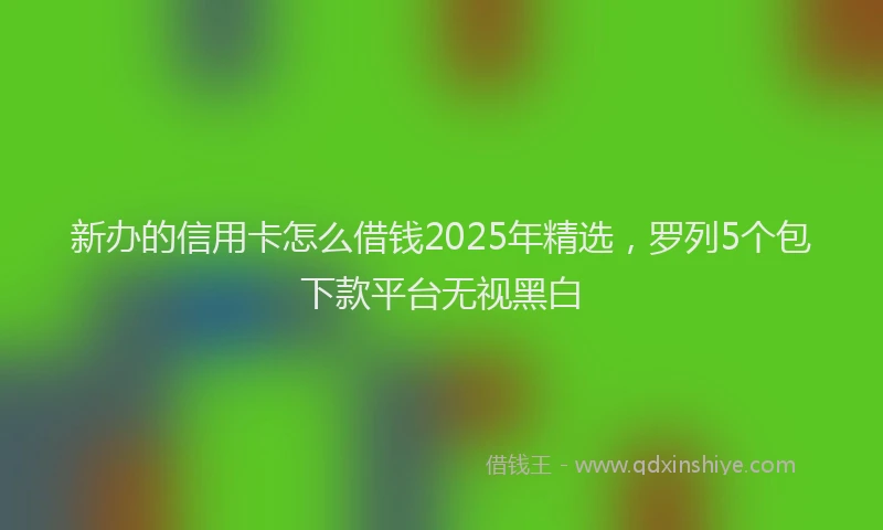 新办的信用卡怎么借钱2025年精选，罗列5个包下款平台无视黑白