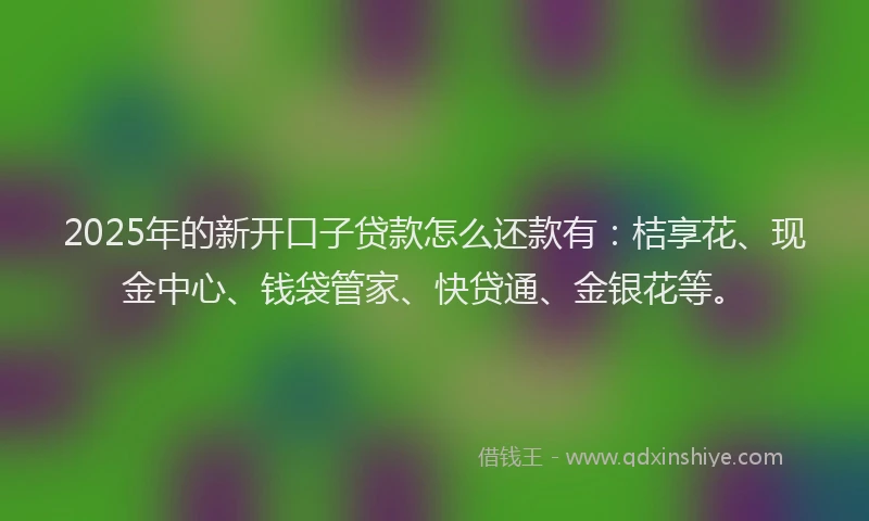 2025年的新开口子贷款怎么还款有：桔享花、现金中心、钱袋管家、快贷通、金银花等。
