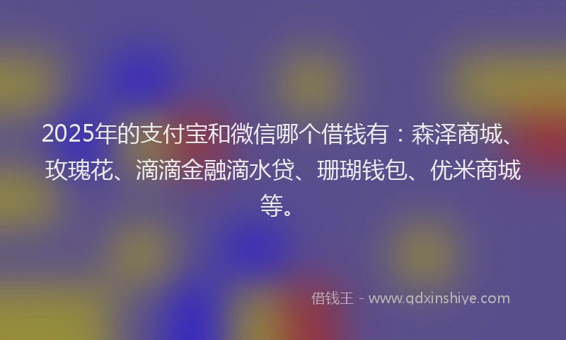 2025年的支付宝和微信哪个借钱有：森泽商城、玫瑰花、滴滴金融滴水贷、珊瑚钱包、优米商城等。