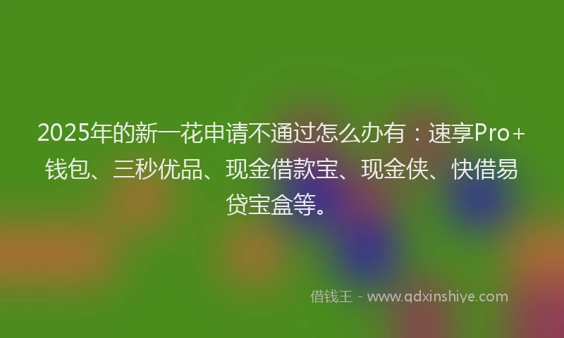 2025年的新一花申请不通过怎么办有：速享Pro+钱包、三秒优品、现金借款宝、现金侠、快借易贷宝盒等。