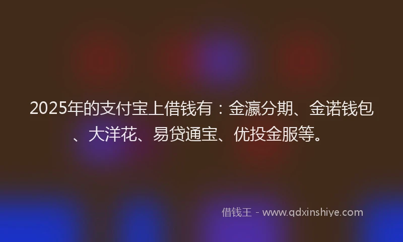 2025年的支付宝上借钱有：金瀛分期、金诺钱包、大洋花、易贷通宝、优投金服等。