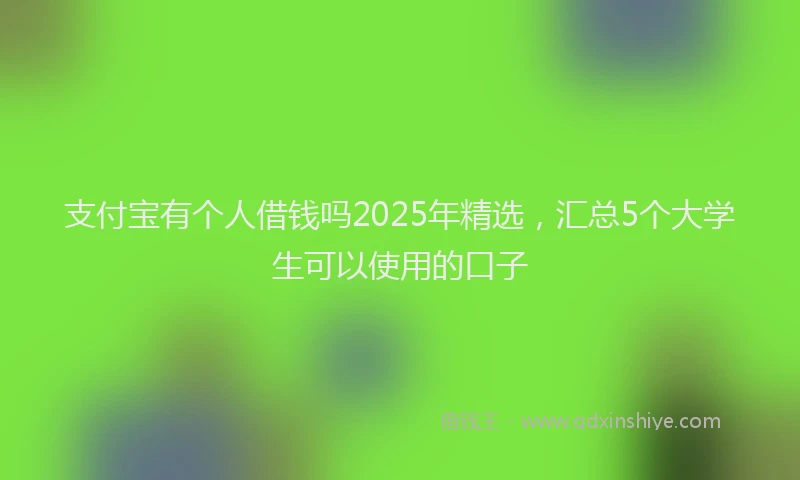 支付宝有个人借钱吗2025年精选，汇总5个大学生可以使用的口子
