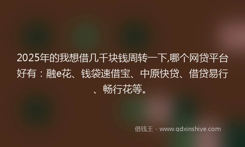 2025年的我想借几千块钱周转一下,哪个网贷平台好有：融e花、钱袋速借宝、中原快贷、借贷易行、畅行花等。