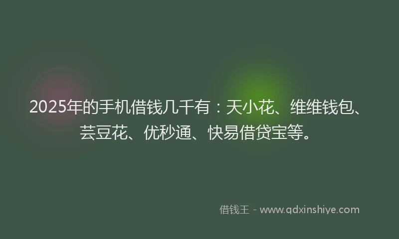 2025年的手机借钱几千有：天小花、维维钱包、芸豆花、优秒通、快易借贷宝等。