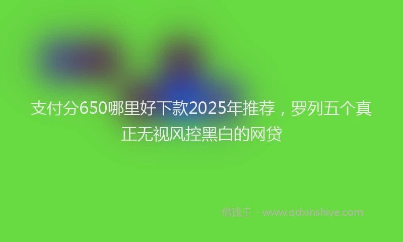 支付分650哪里好下款2025年推荐，罗列五个真正无视风控黑白的网贷