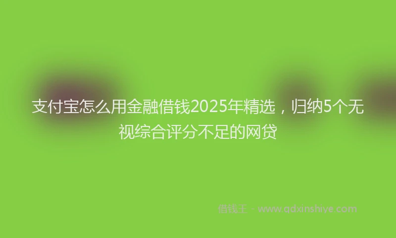 支付宝怎么用金融借钱2025年精选，归纳5个无视综合评分不足的网贷