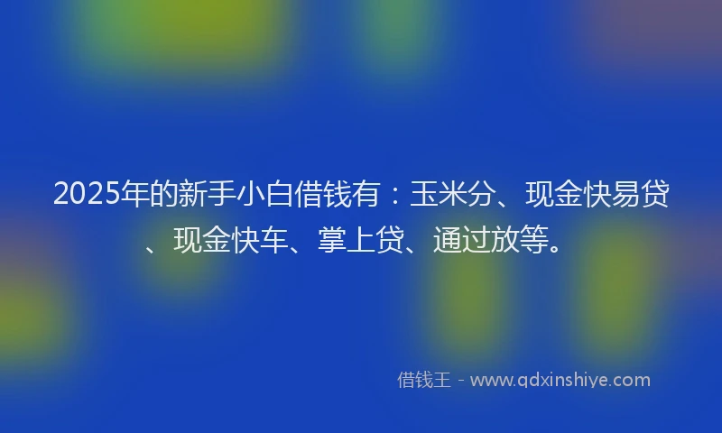 2025年的新手小白借钱有：玉米分、现金快易贷、现金快车、掌上贷、通过放等。
