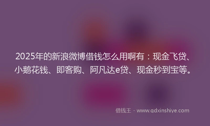 2025年的新浪微博借钱怎么用啊有：现金飞贷、小鹅花钱、即客购、阿凡达e贷、现金秒到宝等。