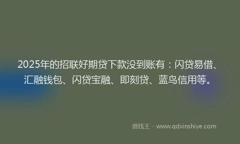 2025年的招联好期贷下款没到账有：闪贷易借、汇融钱包、闪贷宝融、即刻贷、蓝鸟信用等。