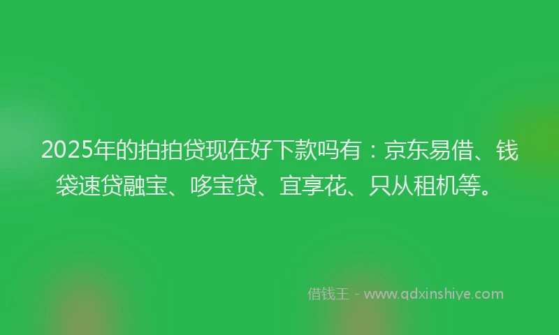 2025年的拍拍贷现在好下款吗有：京东易借、钱袋速贷融宝、哆宝贷、宜享花、只从租机等。