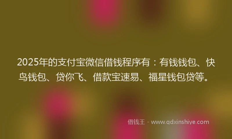 2025年的支付宝微信借钱程序有：有钱钱包、快鸟钱包、贷你飞、借款宝速易、福星钱包贷等。