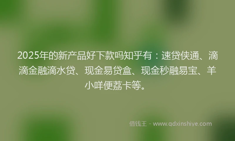 2025年的新产品好下款吗知乎有：速贷侠通、滴滴金融滴水贷、现金易贷盒、现金秒融易宝、羊小咩便荔卡等。