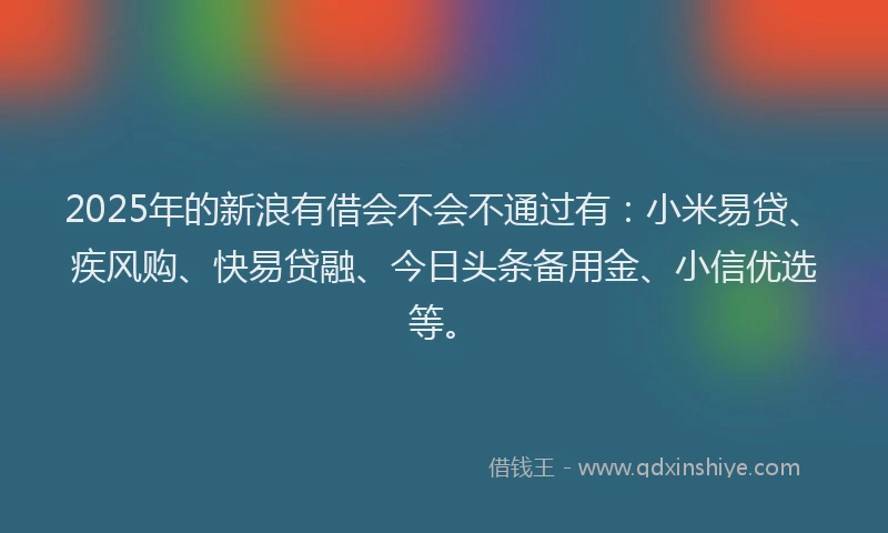 2025年的新浪有借会不会不通过有：小米易贷、疾风购、快易贷融、今日头条备用金、小信优选等。