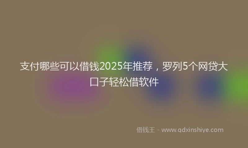 支付哪些可以借钱2025年推荐，罗列5个网贷大口子轻松借软件