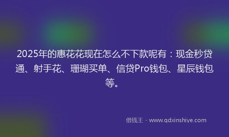 2025年的惠花花现在怎么不下款呢有：现金秒贷通、射手花、珊瑚买单、信贷Pro钱包、星辰钱包等。