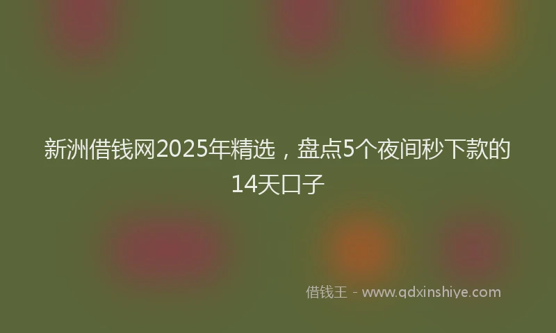 新洲借钱网2025年精选，盘点5个夜间秒下款的14天口子