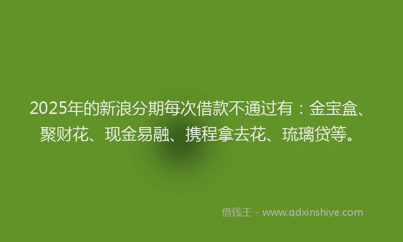 2025年的新浪分期每次借款不通过有：金宝盒、聚财花、现金易融、携程拿去花、琉璃贷等。