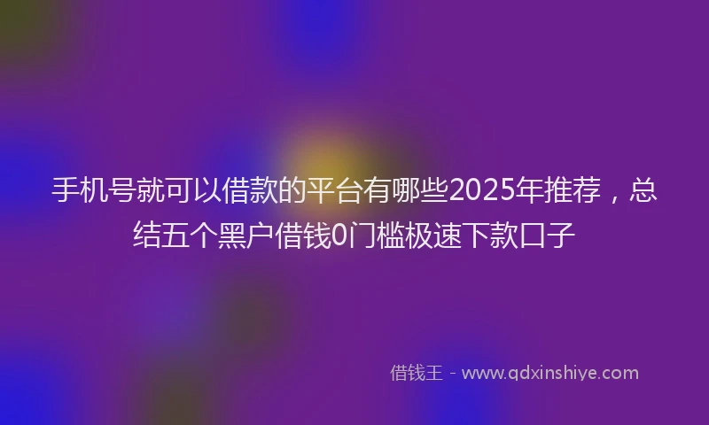 手机号就可以借款的平台有哪些2025年推荐，总结五个黑户借钱0门槛极速下款口子