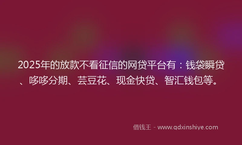 2025年的放款不看征信的网贷平台有：钱袋瞬贷、哆哆分期、芸豆花、现金快贷、智汇钱包等。