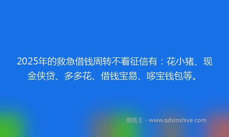 2025年的救急借钱周转不看征信有：花小猪、现金侠贷、多多花、借钱宝易、哆宝钱包等。