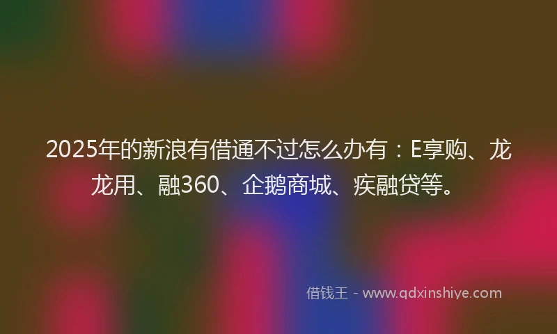 2025年的新浪有借通不过怎么办有：E享购、龙龙用、融360、企鹅商城、疾融贷等。