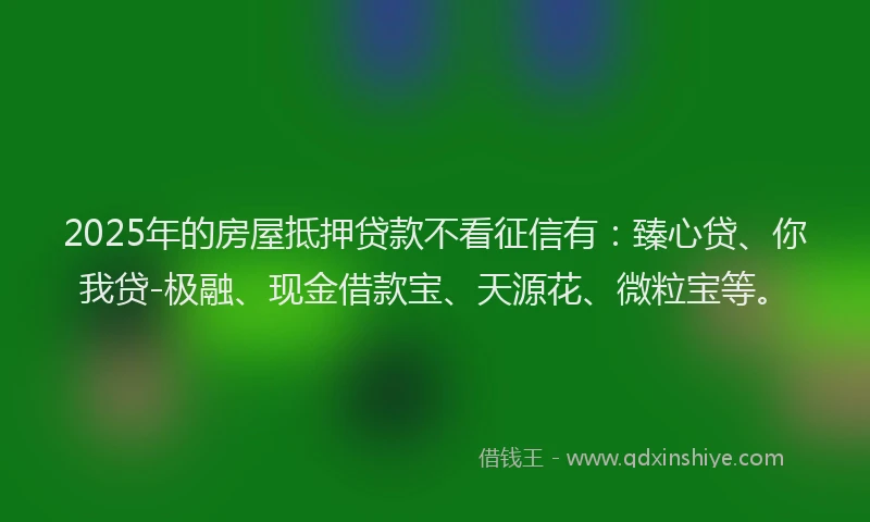 2025年的房屋抵押贷款不看征信有：臻心贷、你我贷-极融、现金借款宝、天源花、微粒宝等。
