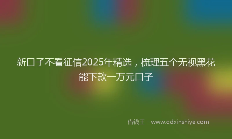 新口子不看征信2025年精选，梳理五个无视黑花能下款一万元口子