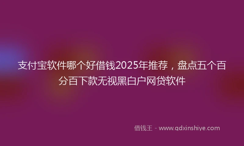 支付宝软件哪个好借钱2025年推荐，盘点五个百分百下款无视黑白户网贷软件