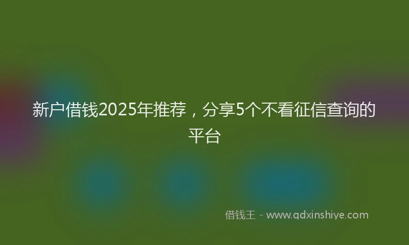 新户借钱2025年推荐，分享5个不看征信查询的平台