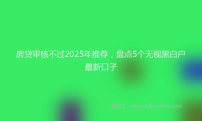 房贷审核不过2025年推荐，盘点5个无视黑白户最新口子