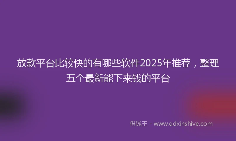 放款平台比较快的有哪些软件2025年推荐，整理五个最新能下来钱的平台