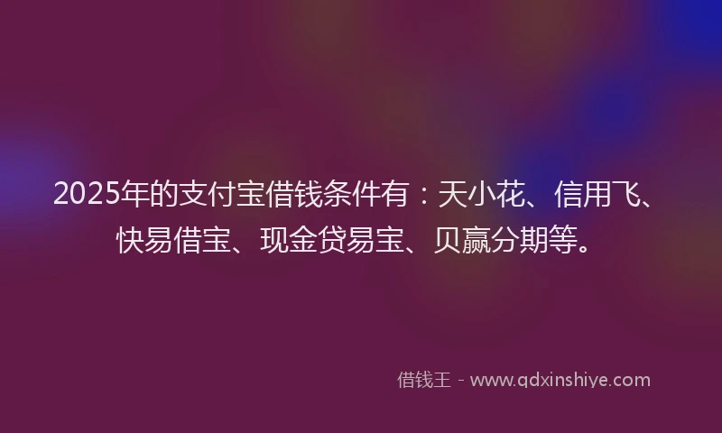 2025年的支付宝借钱条件有：天小花、信用飞、快易借宝、现金贷易宝、贝赢分期等。