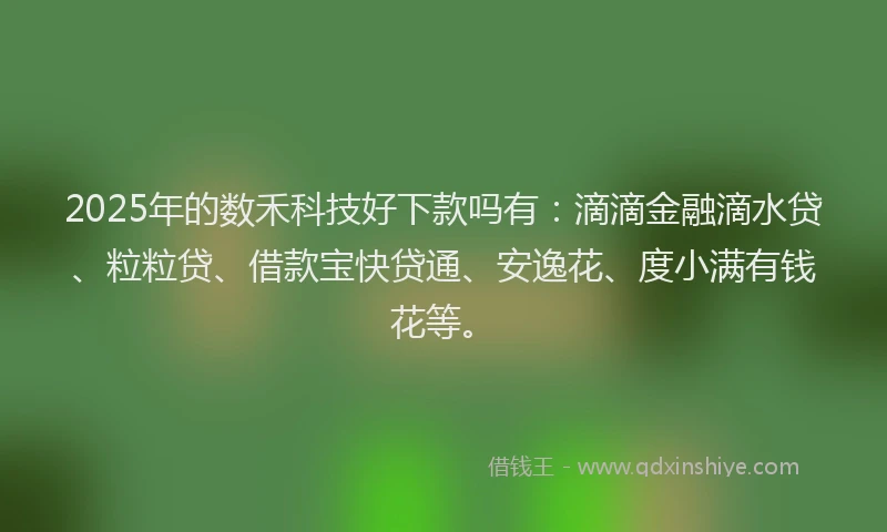 2025年的数禾科技好下款吗有：滴滴金融滴水贷、粒粒贷、借款宝快贷通、安逸花、度小满有钱花等。