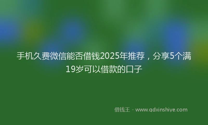 手机久费微信能否借钱2025年推荐，分享5个满19岁可以借款的口子