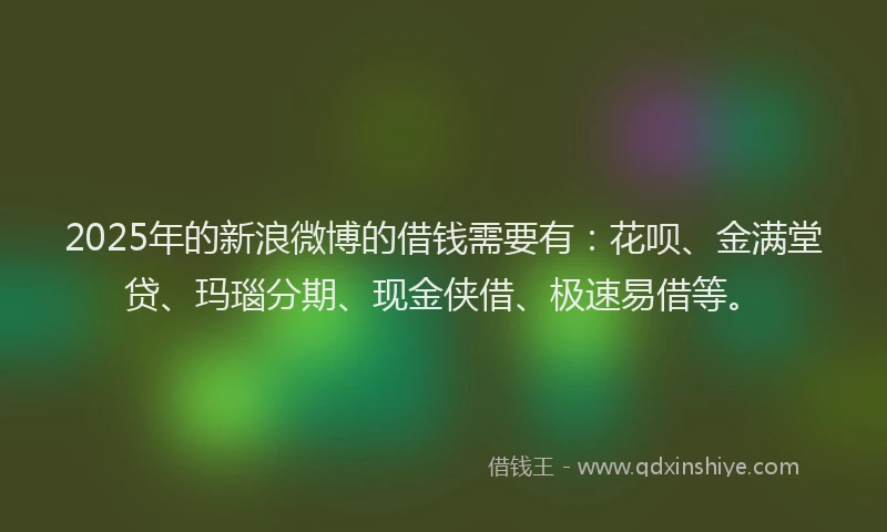 2025年的新浪微博的借钱需要有：花呗、金满堂贷、玛瑙分期、现金侠借、极速易借等。