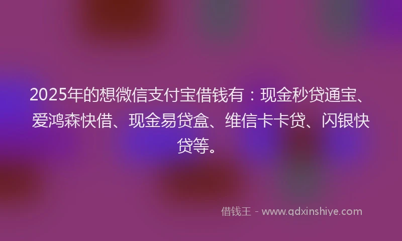2025年的想微信支付宝借钱有：现金秒贷通宝、爱鸿森快借、现金易贷盒、维信卡卡贷、闪银快贷等。