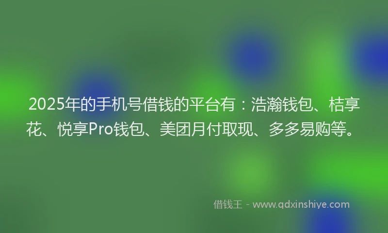 2025年的手机号借钱的平台有：浩瀚钱包、桔享花、悦享Pro钱包、美团月付取现、多多易购等。