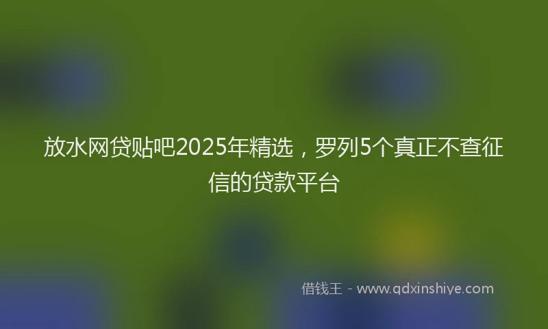放水网贷贴吧2025年精选，罗列5个真正不查征信的贷款平台